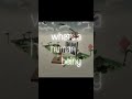 average CG server | #edit #chickengun #chickengunedit