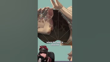 How to Weight a Dinosaur Neck