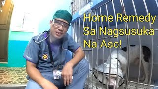 Home Remedy Sa Nagsusuka Na Aso!!//Payo Ni Doc.