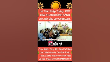 HÔ THẦN NHẬP TƯỢNG, ĐỐT CÂY NHANG BỪNG SÁNG LÊN ,BẮT ĐẦU LẠI CHẾT LUÔN & GIẢI ĐÁP KH CHÙA TÂN DIỆU