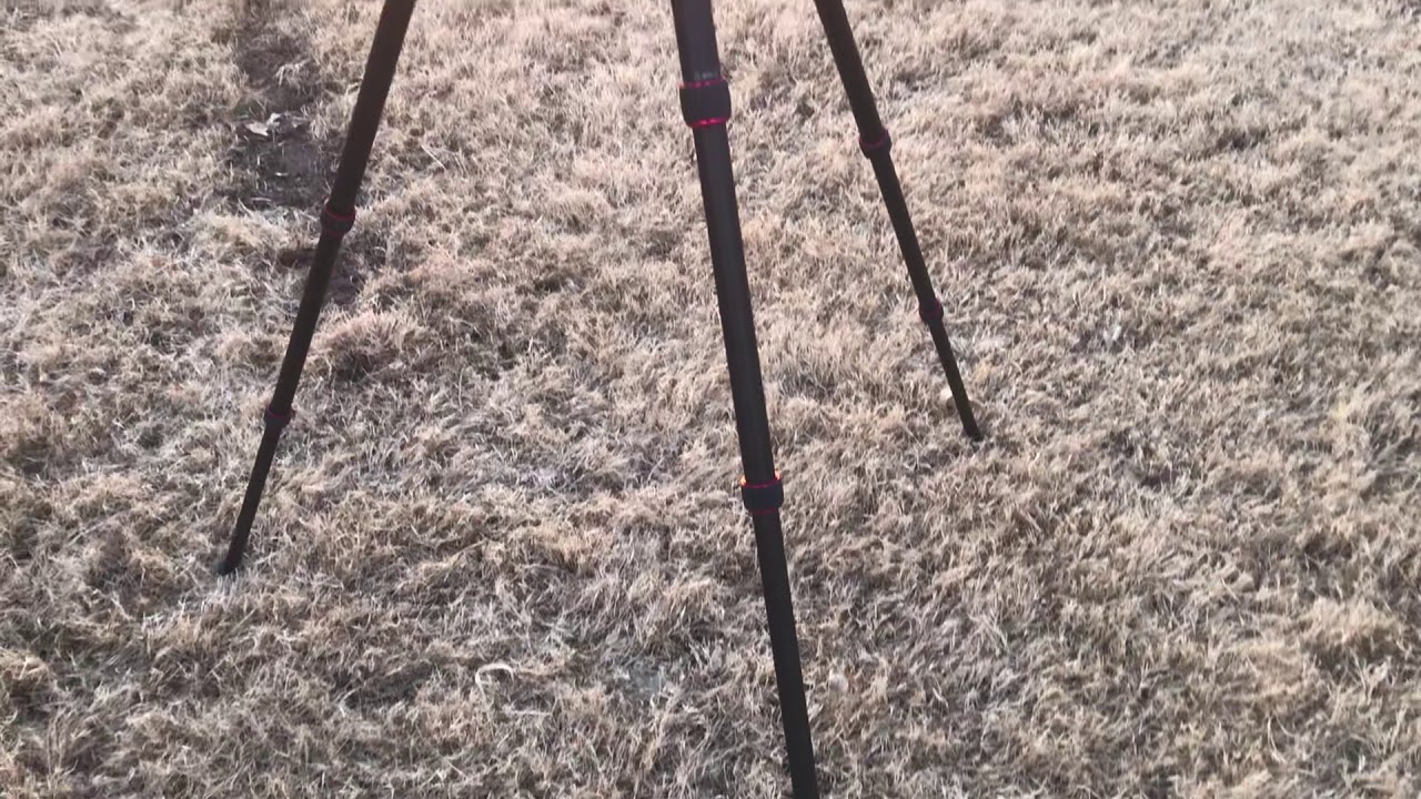 Testing out my Brand New Neewer Tripod 
