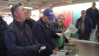 Pusulasiz Hayat Kanal Canl Yaynda 17 Mart Sali maviehir balkmezat karyaka izmir