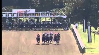Laurel Park 09/06/14 Race 6 - Thirty Eight Go Go Stakes
