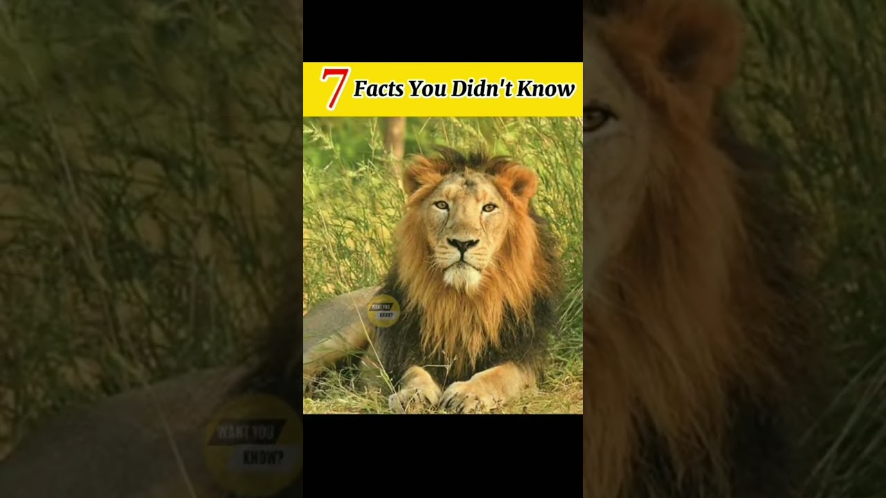 Facts you didn’t know 
