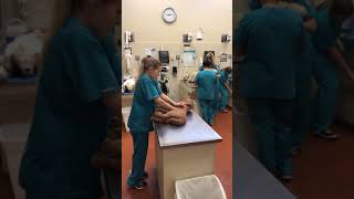 MCC Highlander Ranch Vet Tech