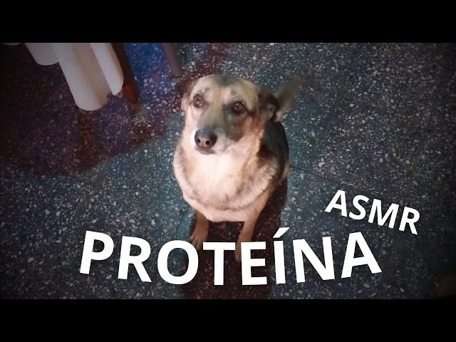 A day into my new ASMR diet