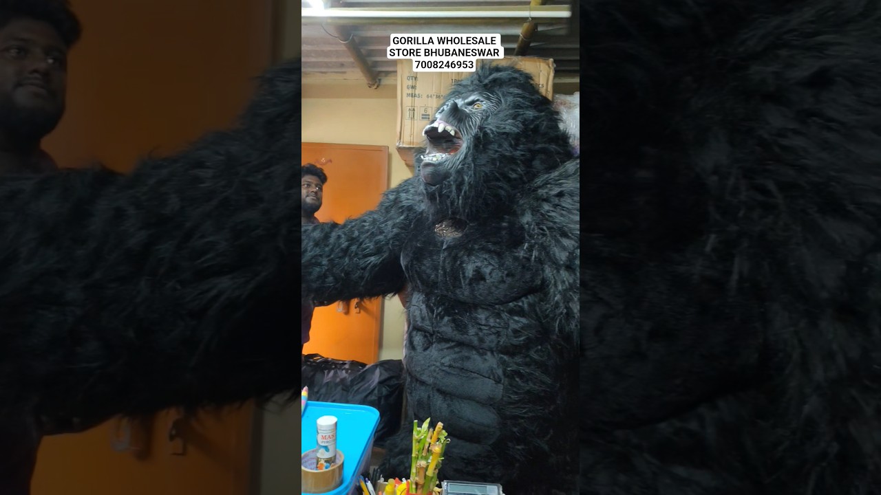 GARILA WHOLESALE STORE BHUBANESWAR CONTACT -7008246953 