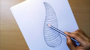 how to draw a leech diagram || leech drawing || Hirudinaria diagram