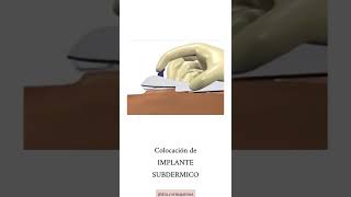 Corina Sánchez Jaimes-12