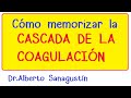 Memoriza la Cascada de la Coagulación #Hematología