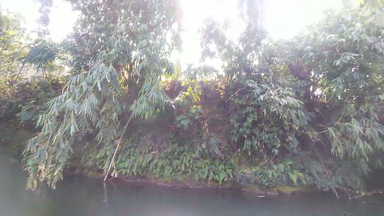 Fishing 🎣 #river February 24, 2026