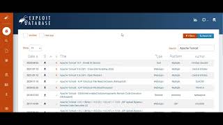 Famous [TryHackMe] Vulnerabilities 101 Writeup Wealth