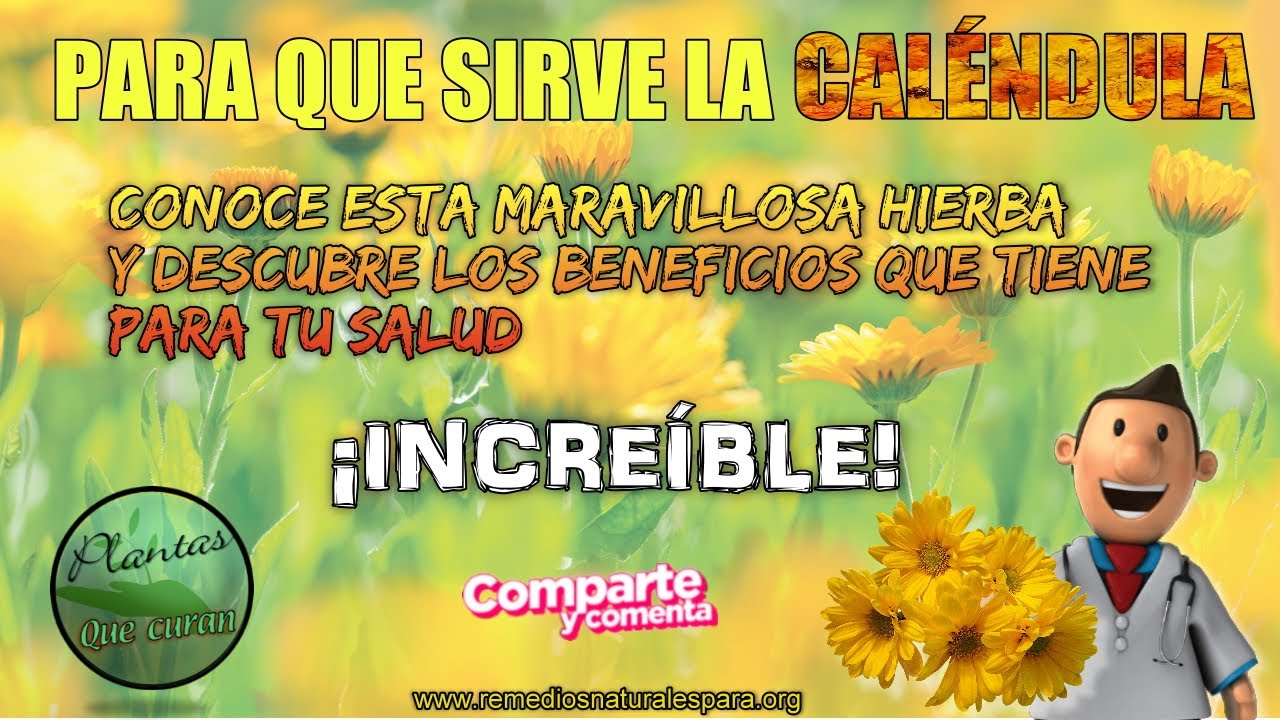 remedios naturales para la artritis Para que Sirve la Calendula-Descubre los Beneficios de la Calendula para tu Salud.¡IMPRESIONANTE!