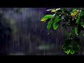 Relaxing Rain & Thunder | 2 Hours of Calming Nature Sounds for Sleep & Relaxation 🌧️💚⚡