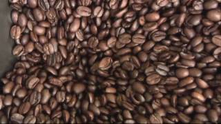 Just Us Coffee Roasters Co-operative