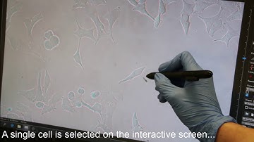 Cutting Living Single Cells