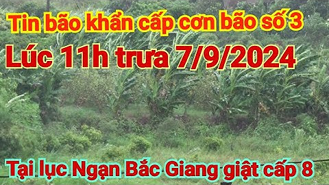 nóng cập nhật mưa bão tại lục Ngạn Bắc Giang 11h trưa ngày 7/9/2024