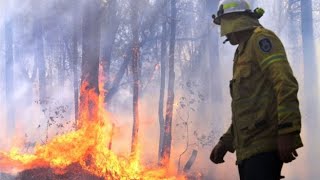 Пожары в Австралии. Пожар в Австралии. Пожары в Сиднее.Сидней в дыму