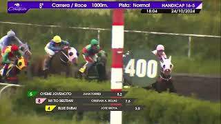 Vidéo de la course PMU PRIX WAKEFIELD