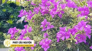 Phút Cầu Nguyện, Thứ Hai 17/04/2023: Vai Diễn Cuộc Đời