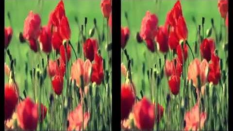 تلاوة عذبه ماتيسر من سورة الاسراء بصوت القارئ عبدالرحمن المطلق حصرياً