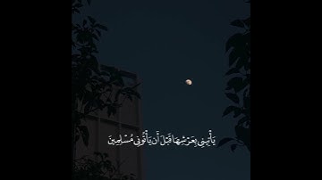 سورة النمل - القارئ ياسر الدوسري