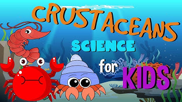 What are Crustaceans | Science for Kids