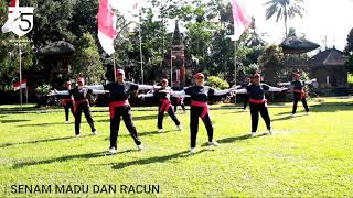 Download Lagu SENAM MADU DAN RACUN GUGUS 4 SD KECAMATAN BANGLI MP3