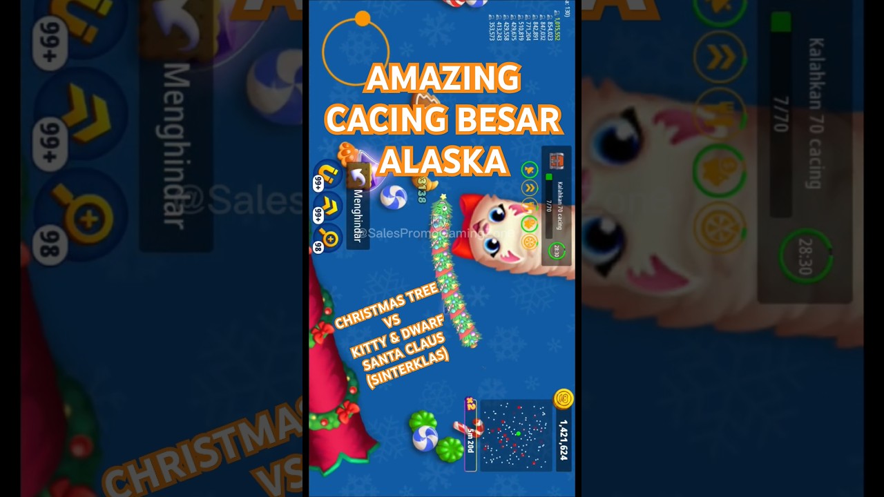 Cacing Besar Alaska Christmas Tree Kitty Dwarf 