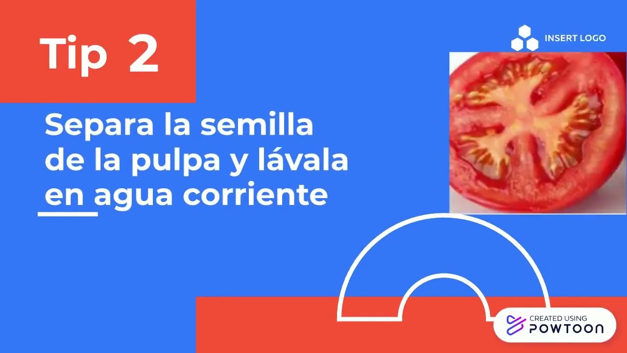 5 tips para sembrar tomate
