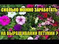 Выгодно ли выращивать ПЕТУНИЮ?