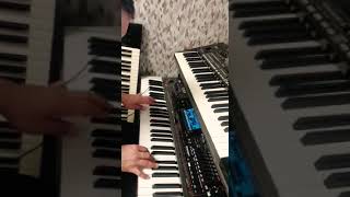 KORG PA4X--KORG PA3X