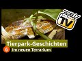 „Tierpark-Geschichten&quot; (6): Das Terrarien- und Aquarienhaus