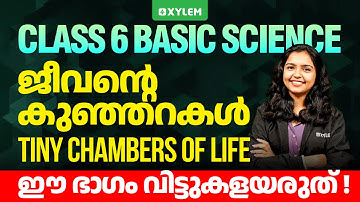 മത്സര പരീക്ഷകൾ ഈസിയായി നേടിയെടുക്കാം | Xylem Class 6