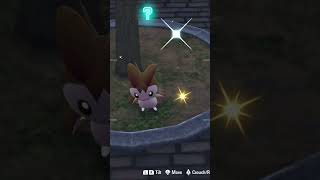Found a Shiny Emolga | #shiny #pokemon #legendsza #plza #shinypokemon