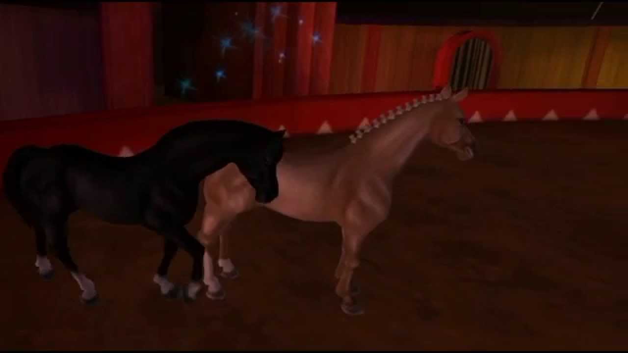 Circus Horses