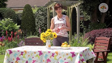 Franclaire Fabrics Wipe-Clean Tablecloth Measuring Guide