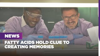 Fatty acids hold clue to creating memories