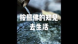 201705 按照佛的知见去生活22572