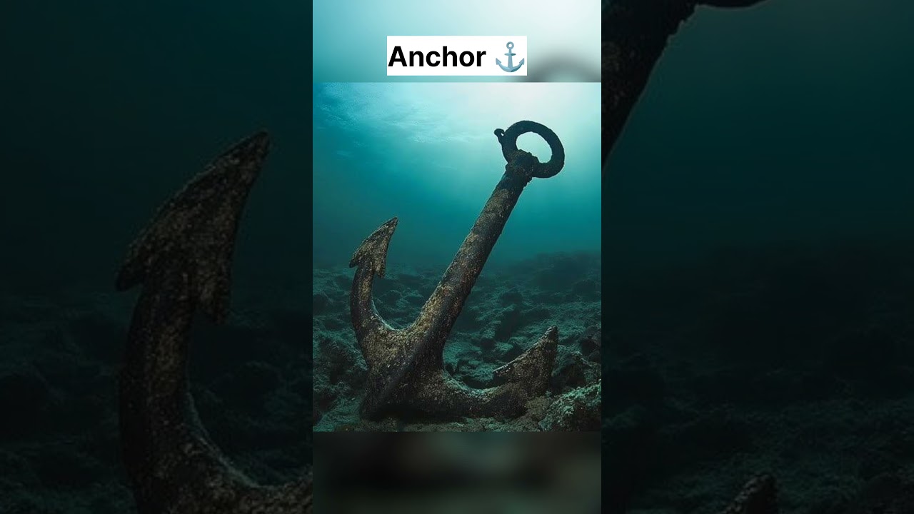 Part - 14 ✨ Things that are bigger than you think 🤯💥 