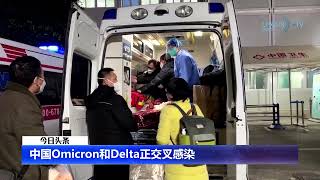 【今日头条】20221230 1 中国Omicron和Delta正交叉感染   习近平和普京视频会谈 中俄增强战略合作   美英法德等12国呼吁塔利班撤销禁止妇女在非政府组织工作禁令