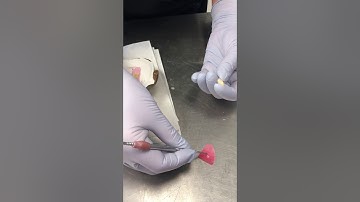 Processing acrylic partial dentures video 2