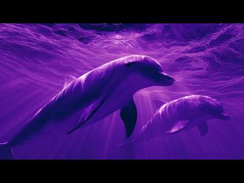 Cover 528 Hz Healing Music | Inner Peace, Tranquility & Cellular Renewal