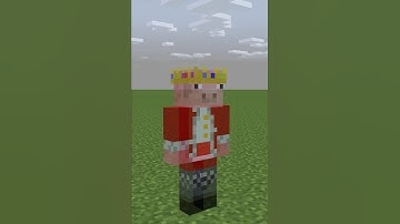 Can you remember this legend? #minecraft #technoblade #viral #shorts