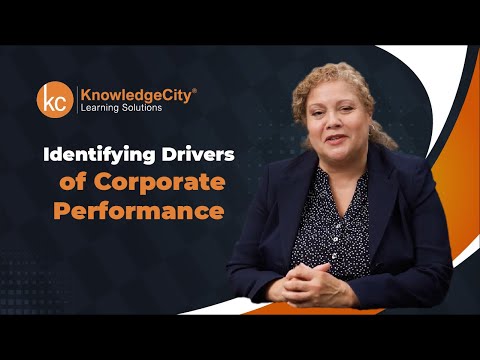 Driving Performance Excellence Meaning