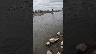 Basic rig catches fish