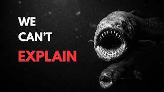 The Deeper You Go, The Creepier Sharks Get