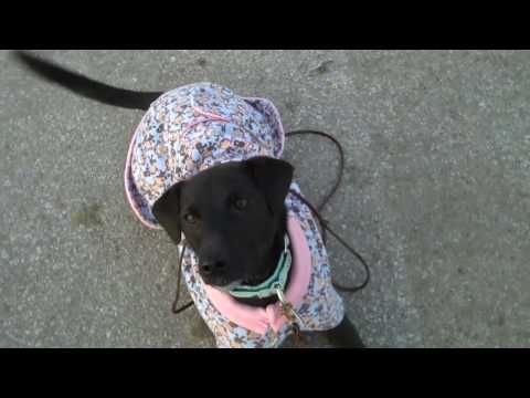 Layla at Silver Lake Park