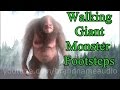 Walking Giant Monster Sound Effects Walking Giant Monster Sound Effects