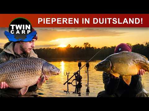 Karpervissen - BAKKEN of KNOLLEN?!